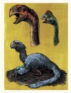 Dinosaurium - pro mladší čtenáře