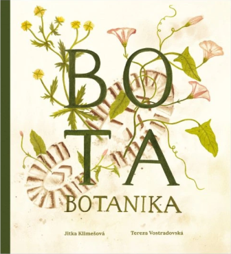 Bota botanika