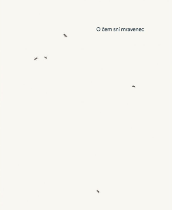 O �em sn� mravenec
