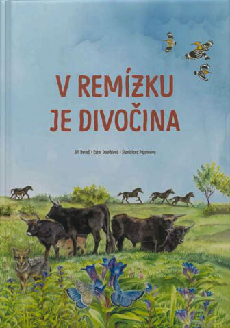 V rem�zku je divo�ina