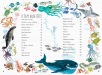 Velká kniha mořské havěti