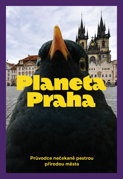 Planeta Praha. Průvodce nečekaně pestrou přírodou města