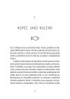 Poklad na Havran�m vrchu