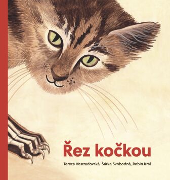 �ez ko�kou