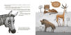 Pup�ci